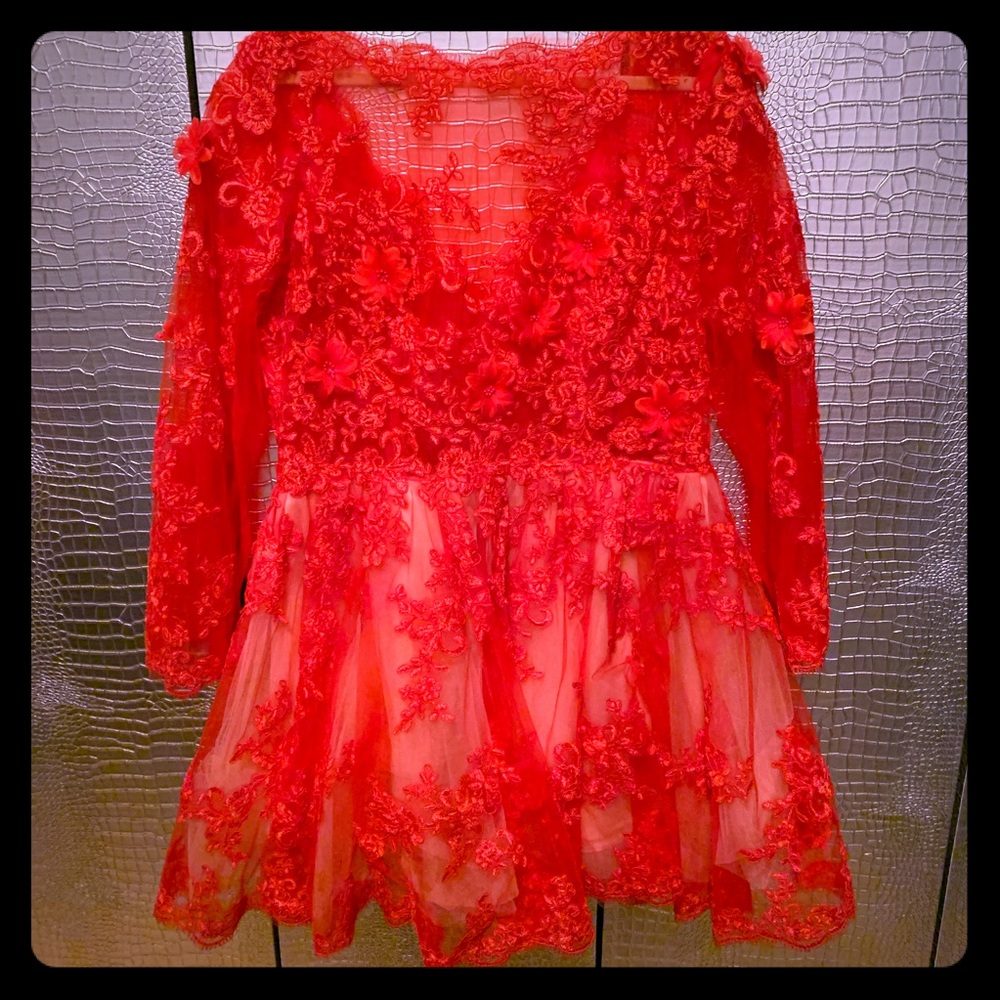 Fit & Flair Red Lace Illusion Embroidered Dress 18